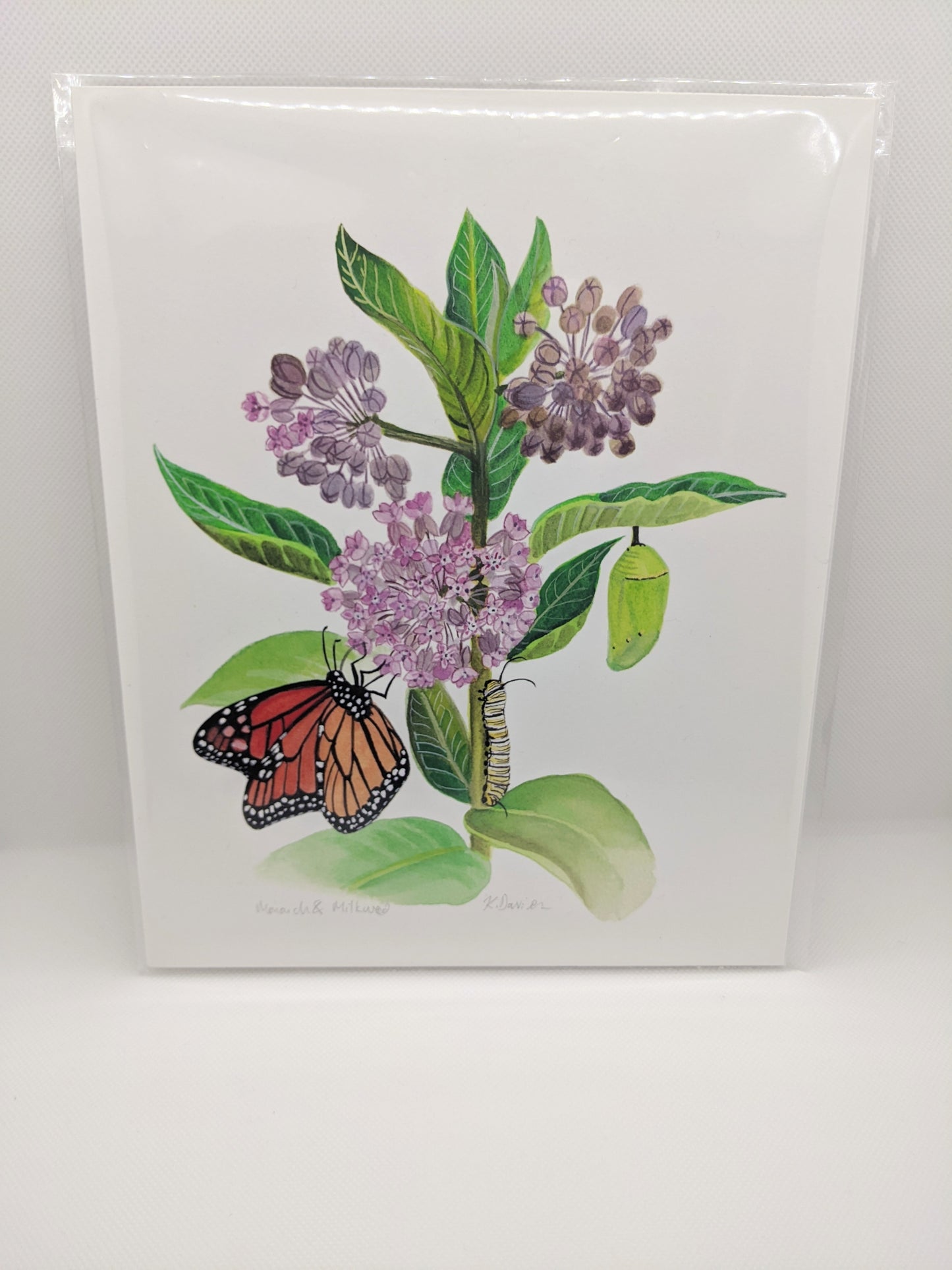 Monarch and Milkweed Giclee Print