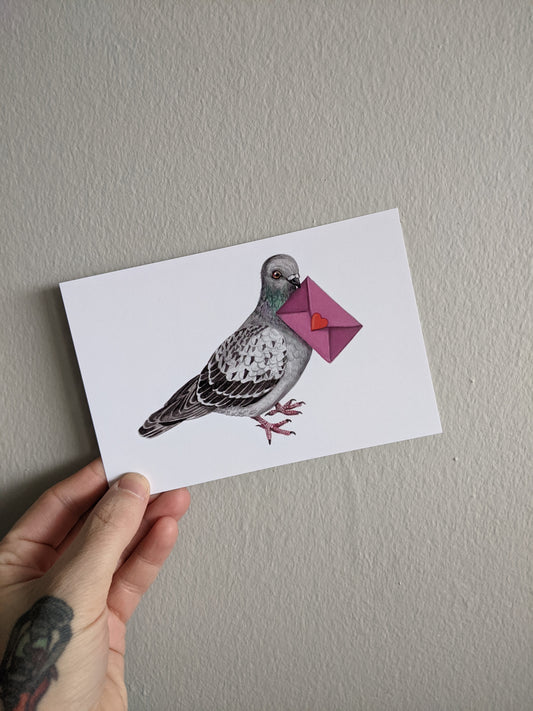 Love letter Pigeon Postcard