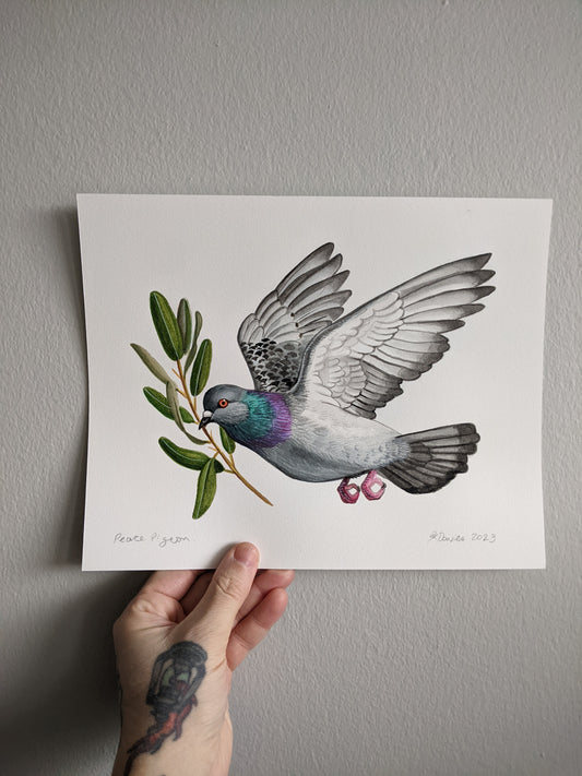 Peace pigeon original painting